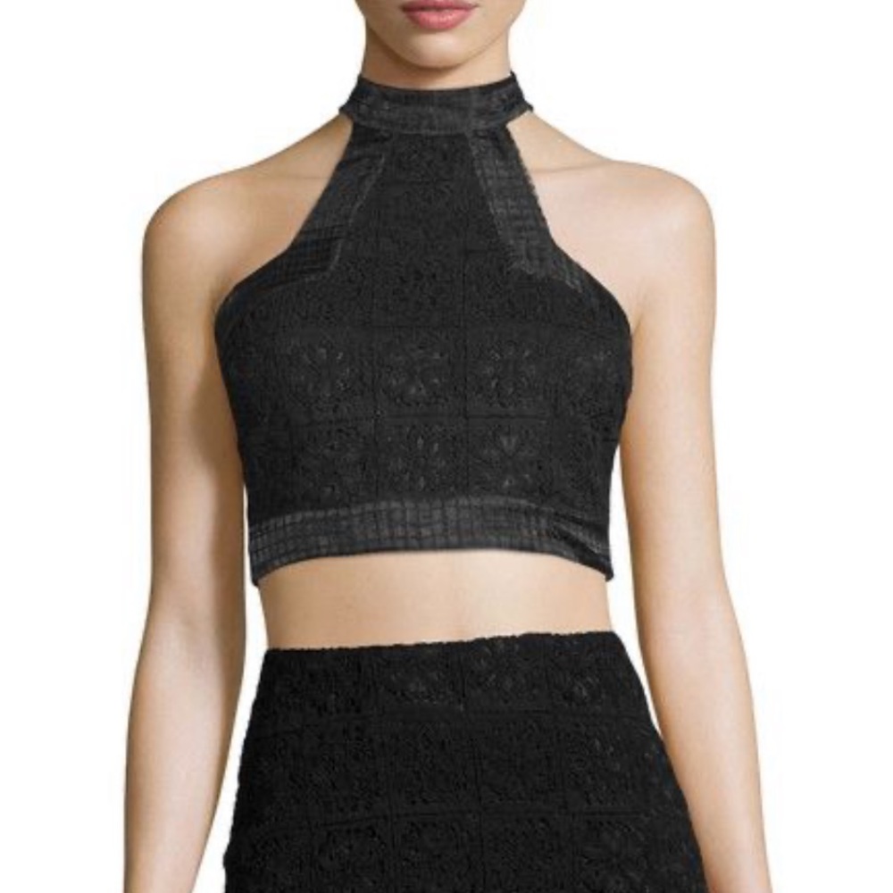 ALEXIS Janek Lace High Neck Crop Top